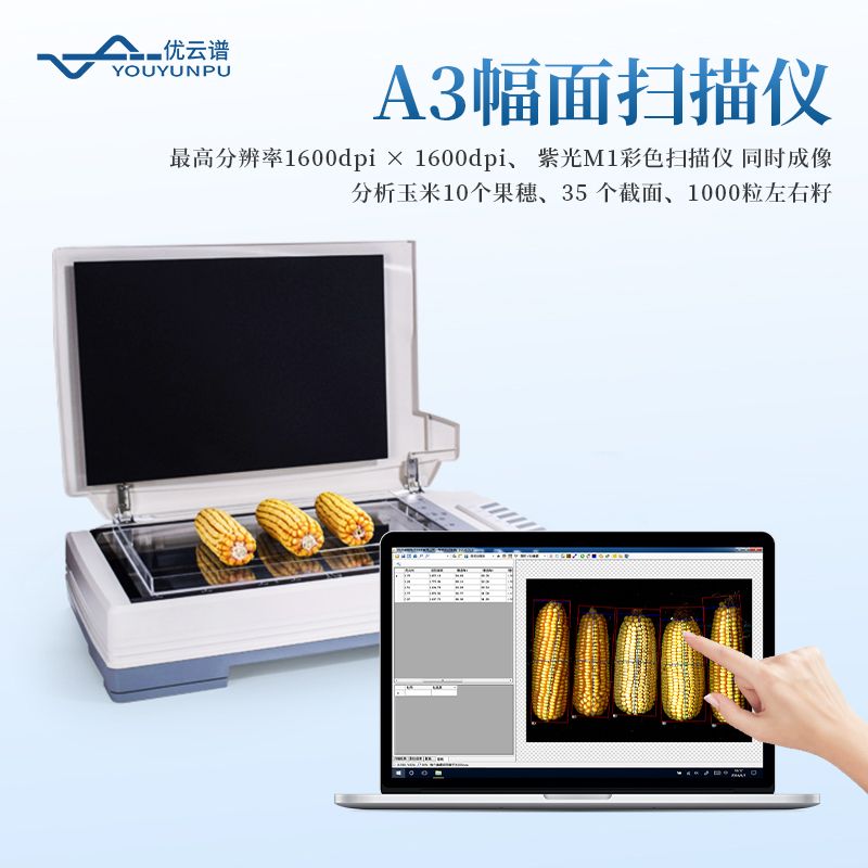 玉米考種分析儀