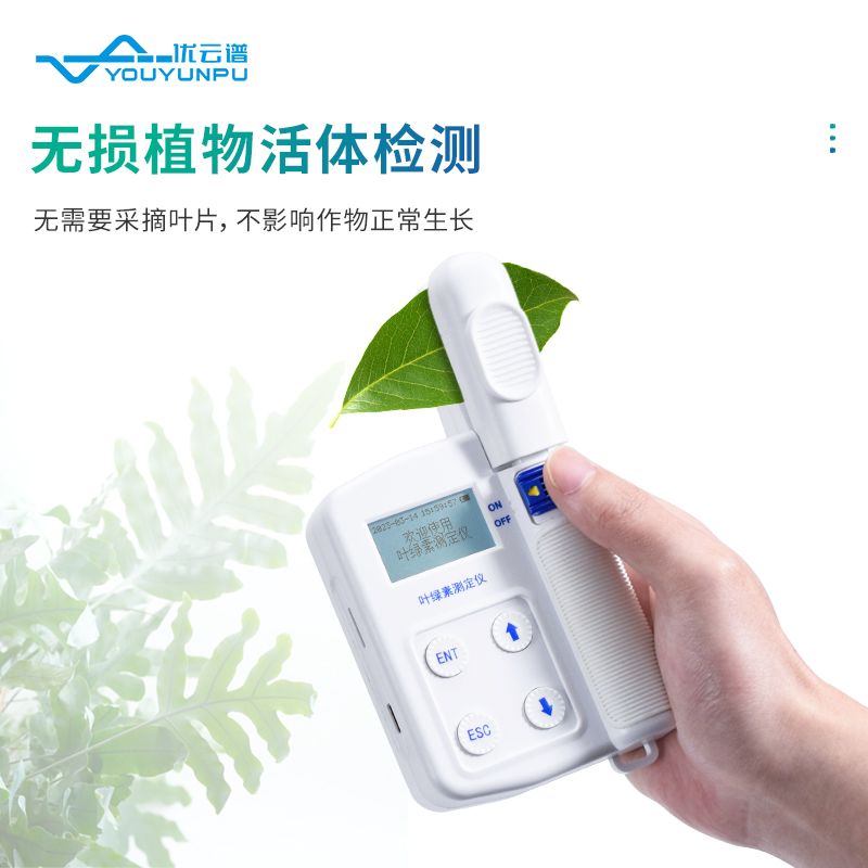 葉綠素測定儀